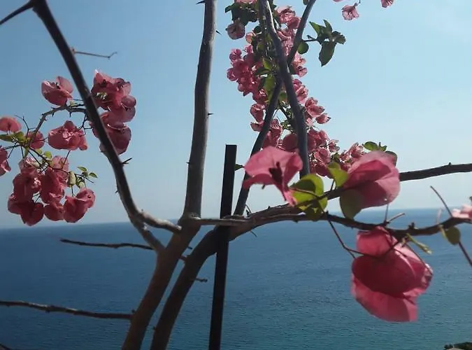 Apartment Odhisea Restaurant Qeparo